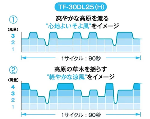 tf-30dl25-image-01