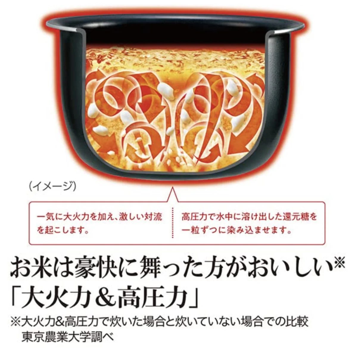 zojirushi-nw-je10-3